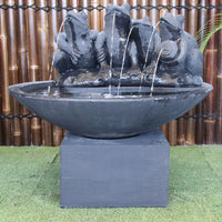 Frog in the Pond water fountain by Galleria in charcoal close up