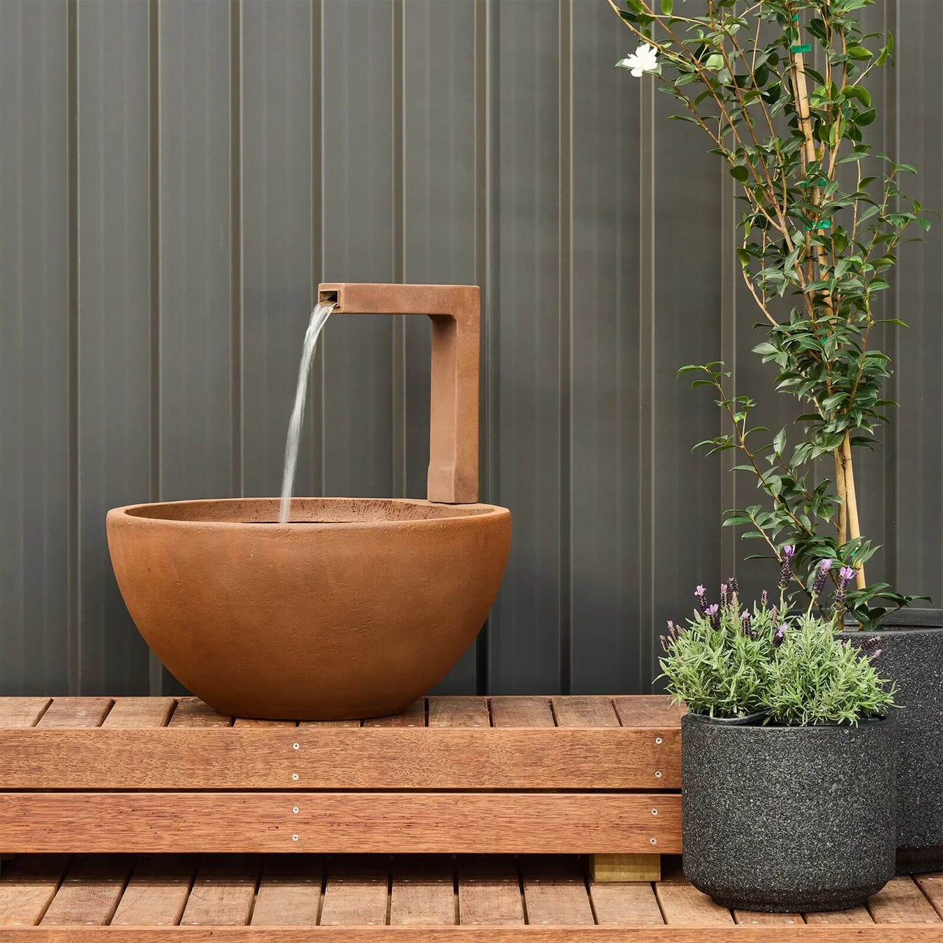 Northcote Pottery