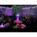 Aquarius Fountain Medium greay featuring LED lights at night