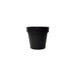 Blinde Design Classic 25 Graphite