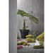 Blinde Design Classic 100 Display