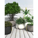 Blinde Design Stitch 50 Concrete Planter with Plant