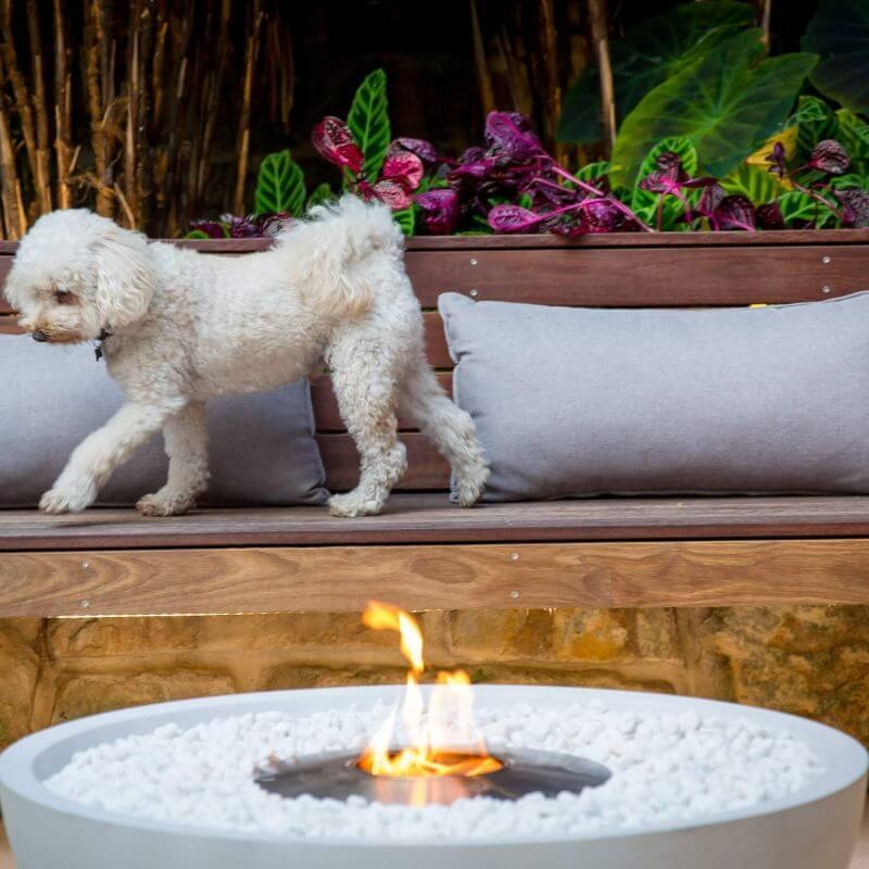Ecosmart Fire Mix 850 Fire Pit Bone Close Up with Dog on Backgound