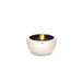 Ecosmart Fire Pod 30 Bone with flame