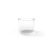 Ecosmart Fire Glass Screen