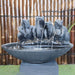 Frog in the Pond water fountain by Galleria in charcoal frog close up