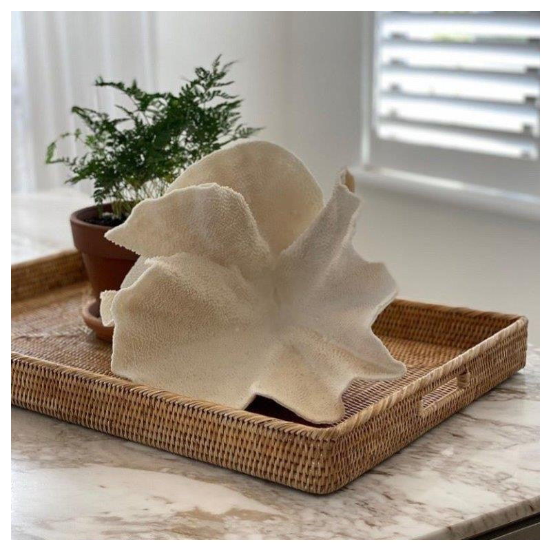 Mandalay Tray Rectange Lifestyle Plant