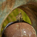 Nexus Water Fountain Detail
