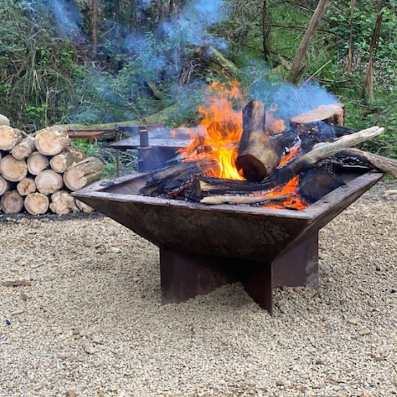 Pinnacle BBQ Fire Pit with logs in background