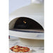 Polito Giotto Wood Fire Oven Champagne closeup