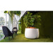 Stitch 125 Concrete Planter with plant