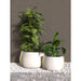 Stitch 50 Concrete Planter Stone Pot with Plant