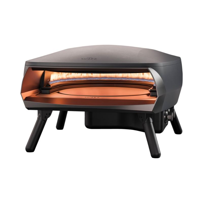 Withh Rotante Gas Powered Pizza Oven With flame on white Background