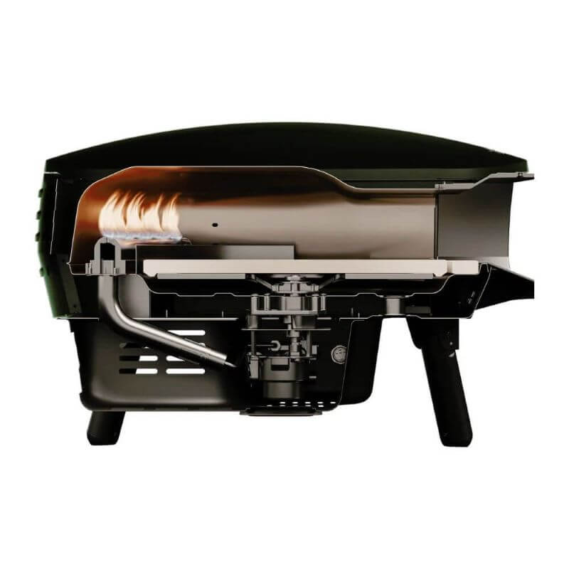 Witt Piccolo Back View